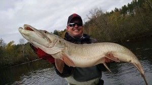 Guided Wisconsin Musky Trips