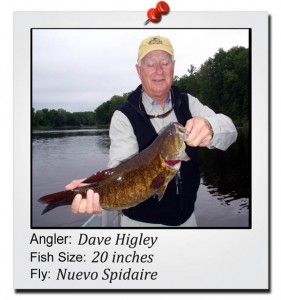 dave-higley-20-inch-fish